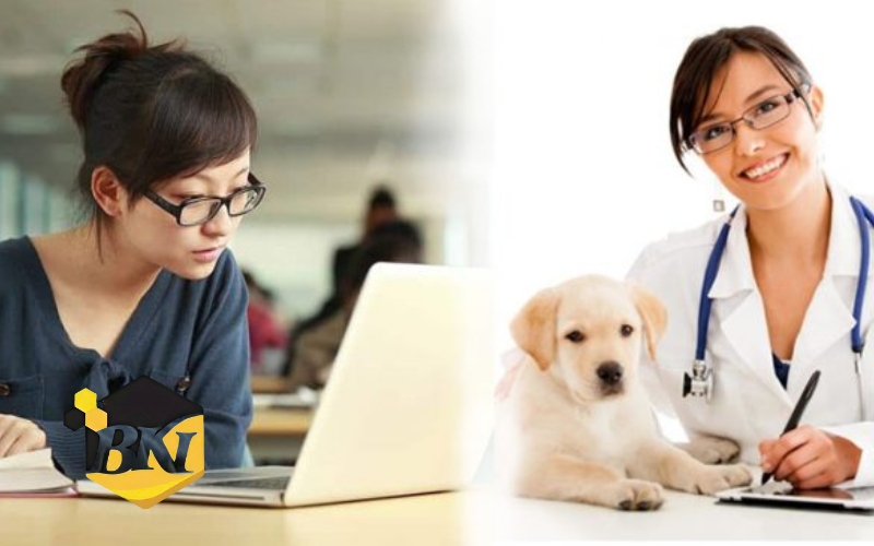 Chương trình Trung cấp thú y từ xa phù hợp với ai? 5 tìm hiểu về trung cấp thú y từ xa