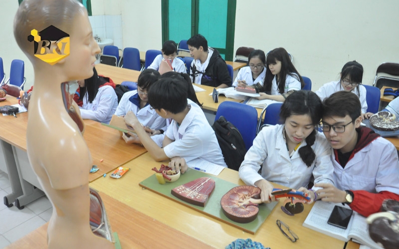 Tuyển sinh Cao đẳng Y sĩ đa khoa vừa học vừa làm tại TpHCM 6 Chương trình khung Cao đẳng Y sĩ đa khoa vừa học vừa làm tại Trung cấp Bách Khoa Việt Úc
