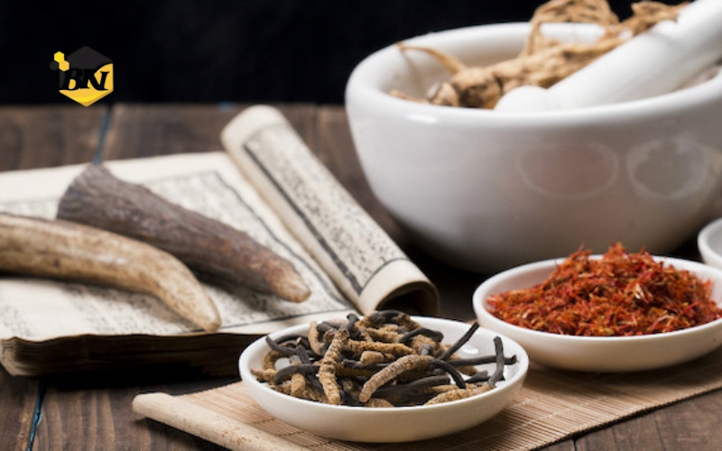 Lợi ích khi học Trung cấp Y học cổ truyền trực tuyến