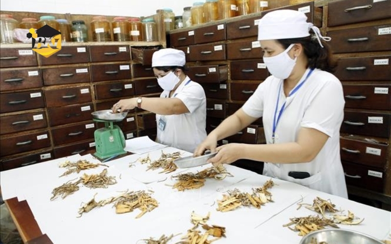 Thông tin tuyển sinh Trung cấp Y học cổ truyền trực tuyến