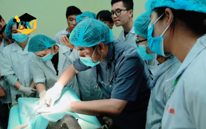 Học Trung cấp Thú Y online - Nhận bằng chính quy 6 Chương trình khung Trung cấp Thú y online