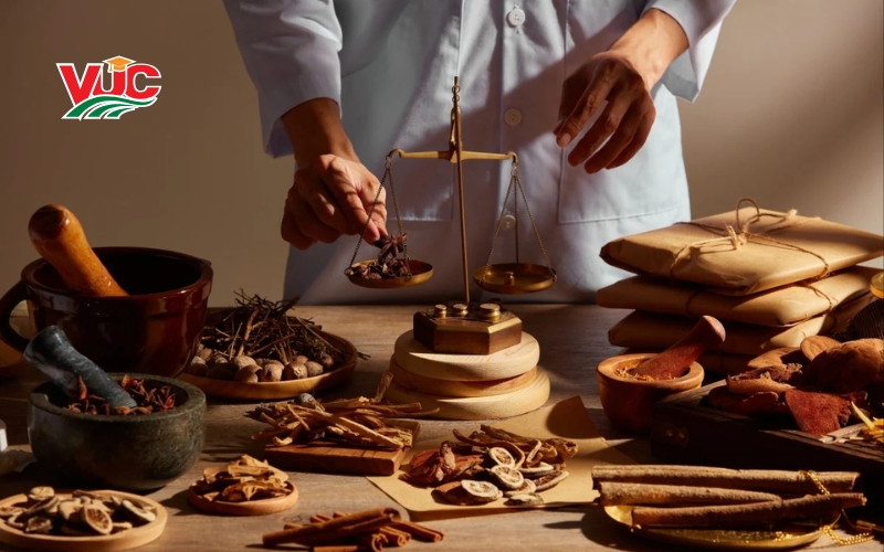 Thông tin tuyển sinh Trung cấp Y học cổ truyền 