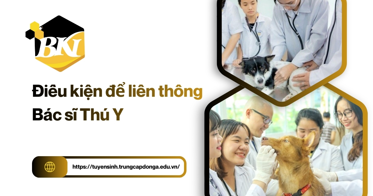 Điều kiện để liên thông bác sĩ thú y