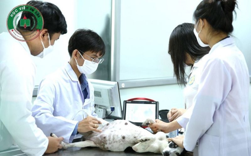 Học từ xa Trung cấp Thú Y linh hoạt - Nhận bằng chính quy 5 Ưu điểm khi học từ xa Trung cấp Thú Y