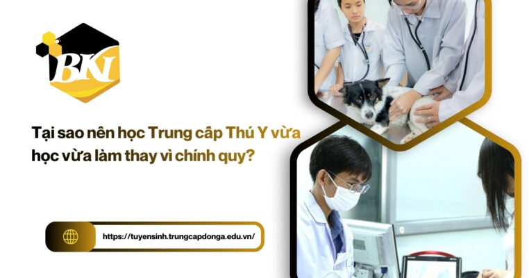 Nên học Trung cấp Thú Y vừa học vừa làm