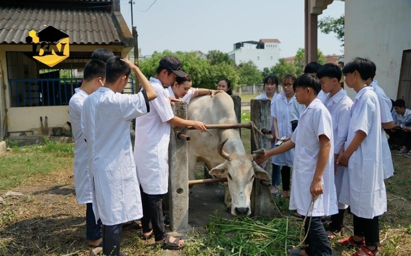 Học Trung cấp Thú Y từ xa so với hệ đào tạo khác có gì khác biệt? 7 Thông tin tuyển sinh học Trung cấp Thú Y từ xa