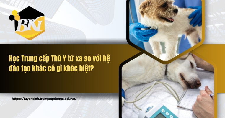 Học Trung cấp Thú Y từ xa so với hệ đào tạo khác