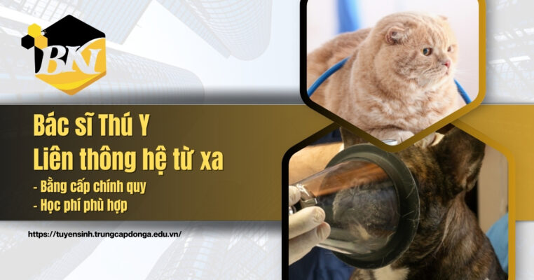 Liên thông bác sĩ thú y hệ từ xa xét tuyển