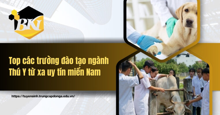 Các trường đào tạo ngành Thú y từ xa uy tín miền nam