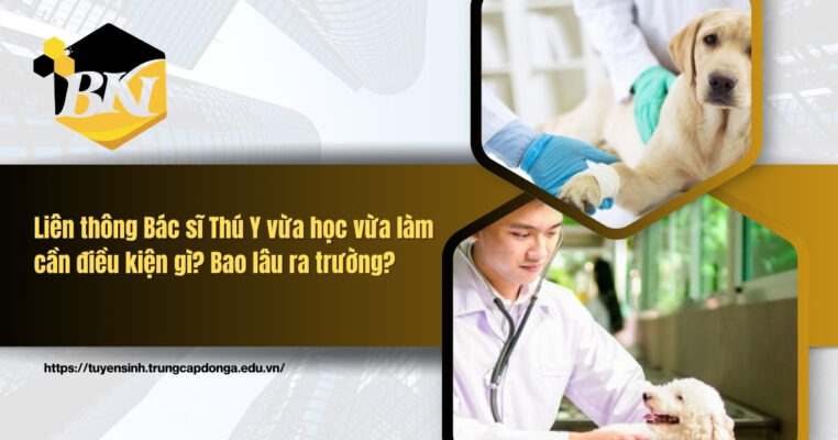 Liên thông bác sĩ thú y vưa học vừa làm cần điều kiện gì