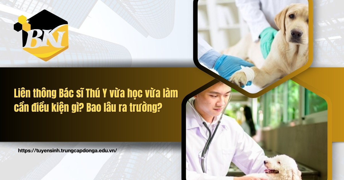 Liên thông bác sĩ thú y vưa học vừa làm cần điều kiện gì
