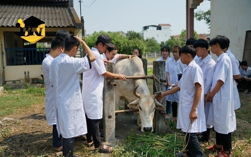Liên thông ngành Thú Y hệ từ xa - Học phí thấp - Bằng cấp chính quy 6 Lộ trình học liên thông ngành Thú y hệ từ xa bao lâu và có phải đến trường thực hành không?