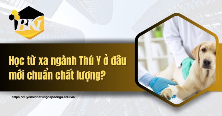 Học từ xa ngành Thú Y ở đâu mới chuẩn chất lượng?