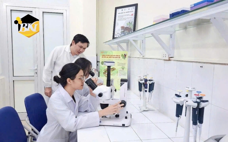 Điều kiện tuyển sinh thẳng khi chọn xét học bạ hệ cao đẳng