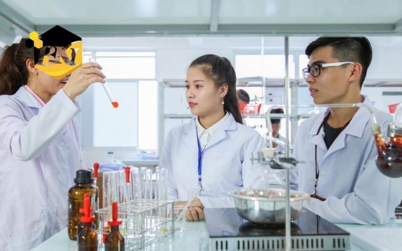Giá trị pháp lý và cơ hội việc làm của bằng Dược sĩ hệ vừa học vừa làm