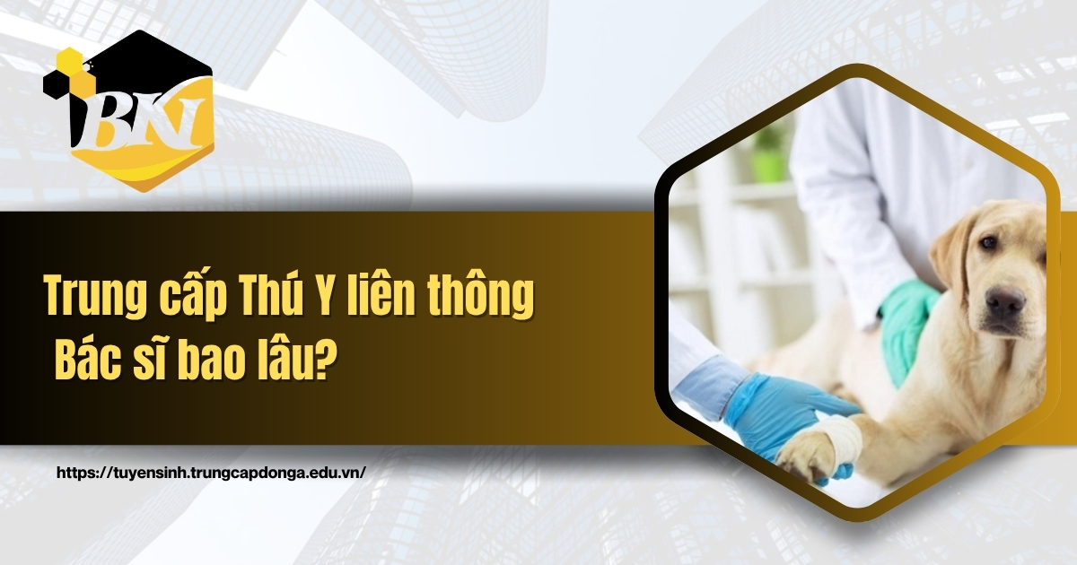 Trung cấp Thú Y liên thông Bác sĩ bao lâu?
