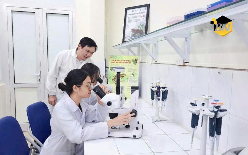 Trường Cao đẳng học online - Học phí hợp lý - Xét tuyển online toàn quốc 5 Thực tế quy trình: Xét tuyển tại trường cao đẳng học online toàn quốc có phức tạp không?