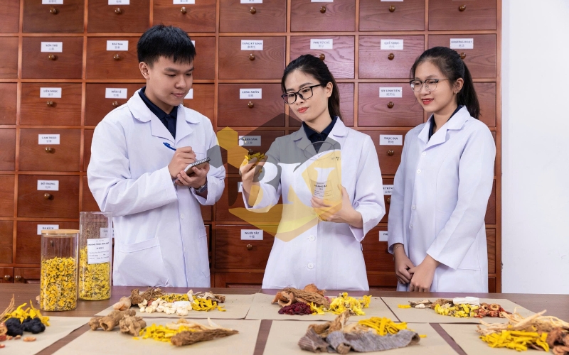 Giá trị pháp lý của bằng cấp sau khi học trực tuyến ngành Y học cổ truyền như thế nào?
