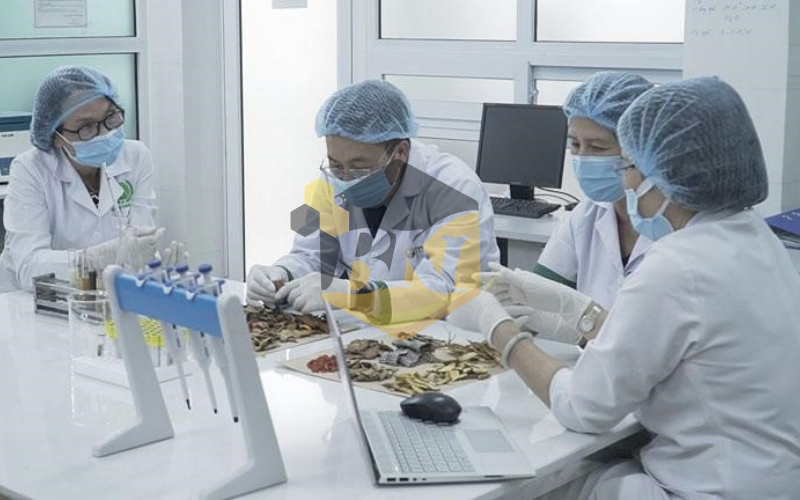 Học trực tuyến ngành Y học cổ truyền là gì và ưu điểm ra sao?