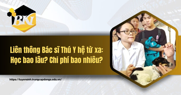 Liên thông Bác sĩ Thú Y hệ từ xa: Học bao lâu? Chi phí bao nhiêu?